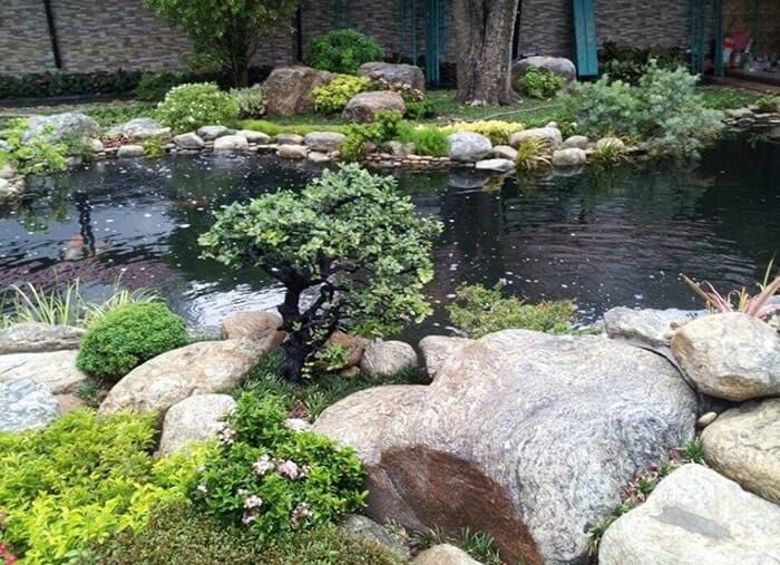 Các đá tiểu cảnh phổ biến dùng trong trang trí sân vườn