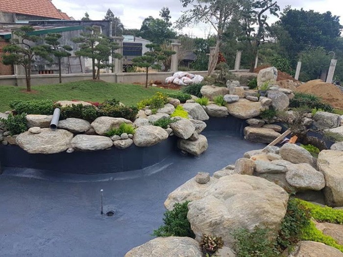 Chống chấm hồ cá Koi: Bí quyết để nuôi cá Koi đẹp mắt và khỏe mạnh