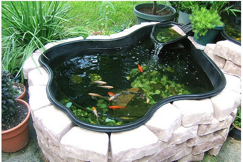 Cách chọn vị trí và kích thước hồ cá koi phù hợp với không gian