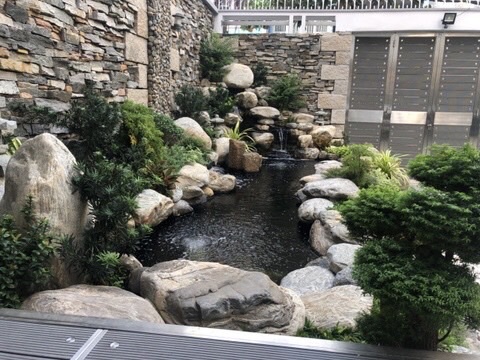 THI CÔNG TIỂU CẢNH SÂN TRƯỚC