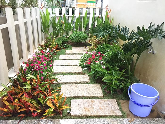 Thiết kế sân vườn nhỏ đẹp và tiện ích: Gợi ý và lời khuyên từ chuyên gia