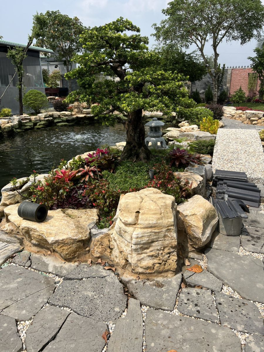 Thiết Kế Thi Công Hòn Non Bộ