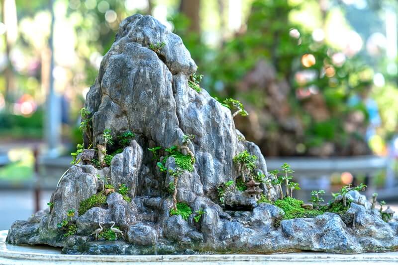 thiết kế thi công hòn non bộ