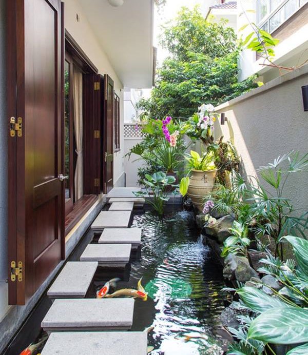 vệ sinh hồ cá Koi đúng chuẩn