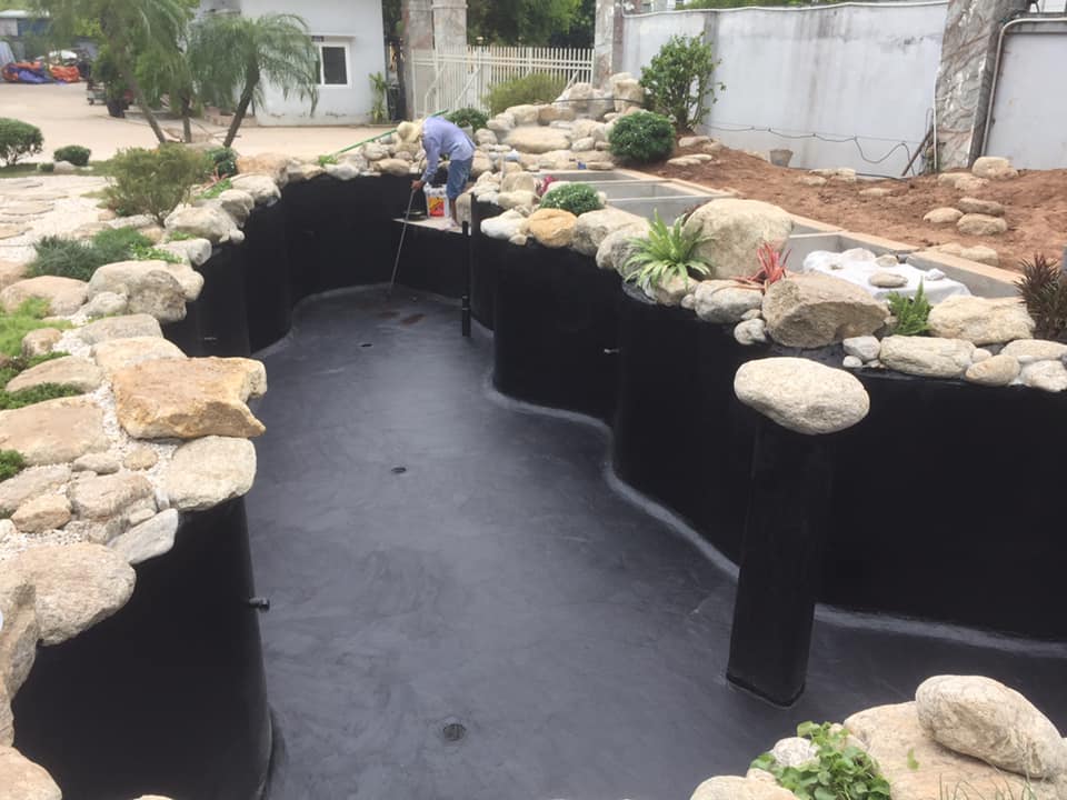 Chống chấm hồ cá Koi: Bí quyết để nuôi cá Koi đẹp mắt và khỏe mạnh