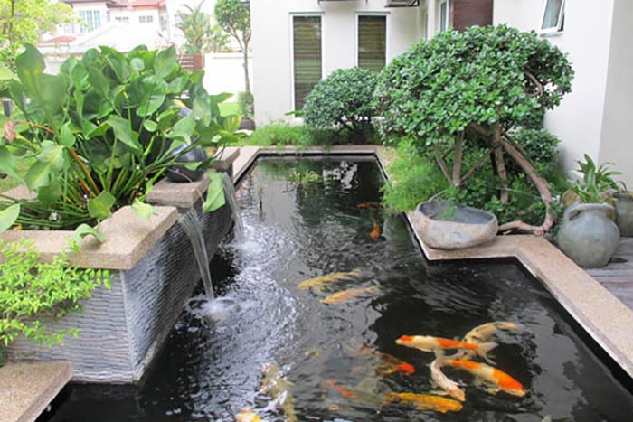 Tiểu cảnh đưa vào trang trí