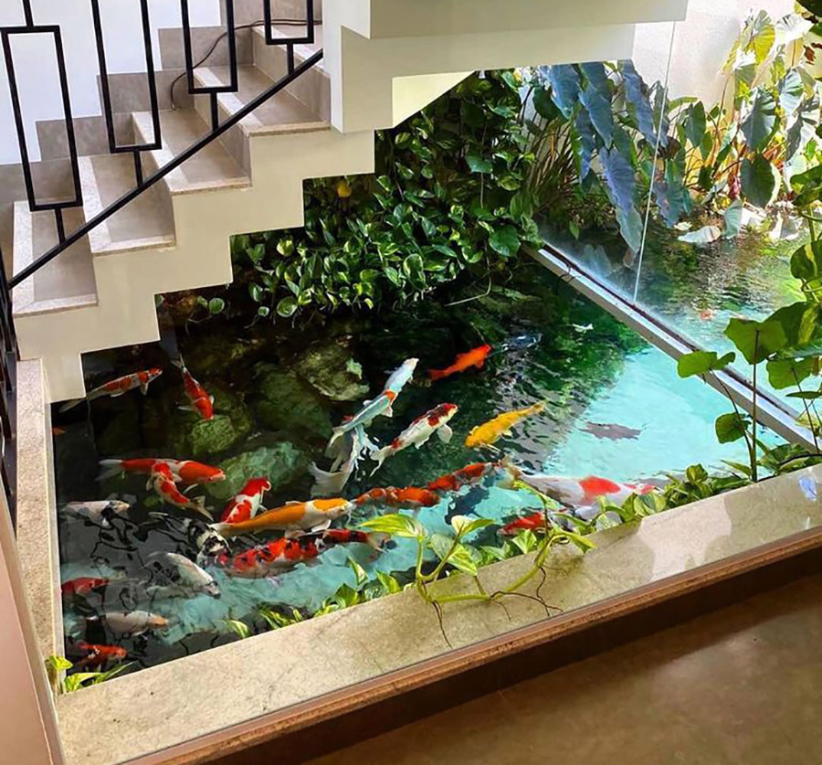 Mẫu hồ cá koi trong nhà biệt thự 