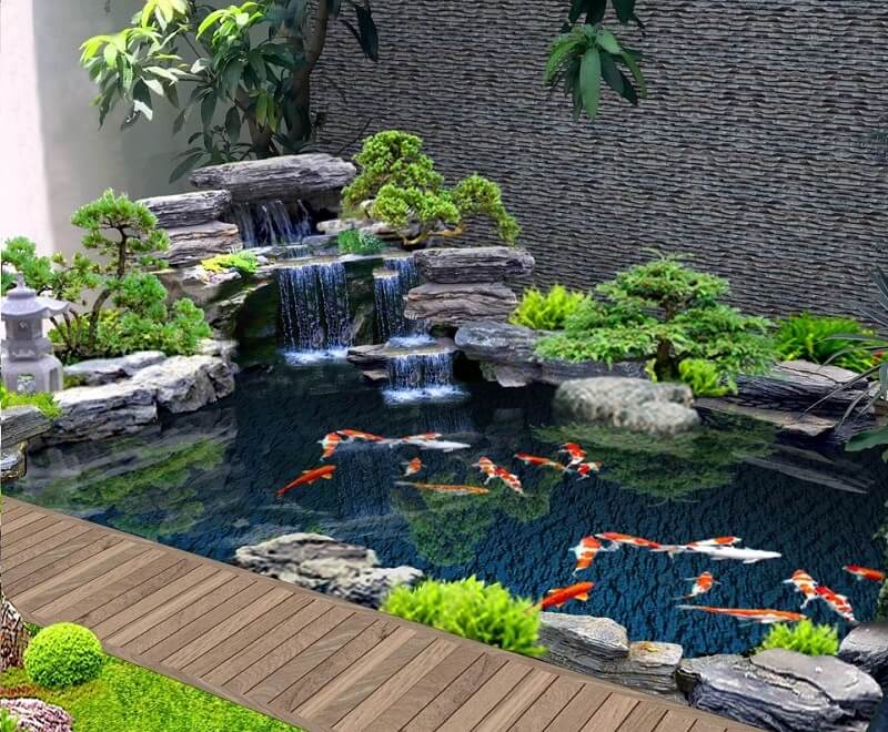 Chăm sóc hồ cá Koi