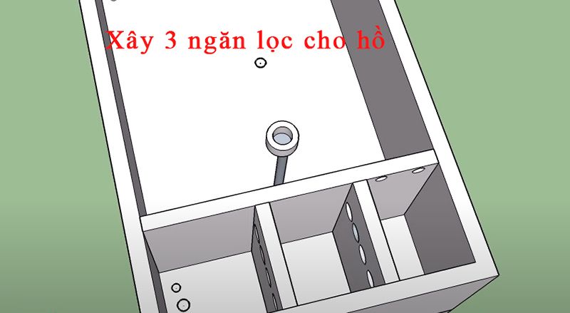 Cách chọn vị trí và kích thước hồ cá koi