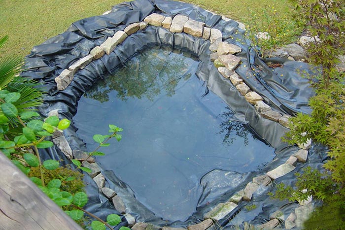 Cách chọn vị trí và kích thước hồ cá koi