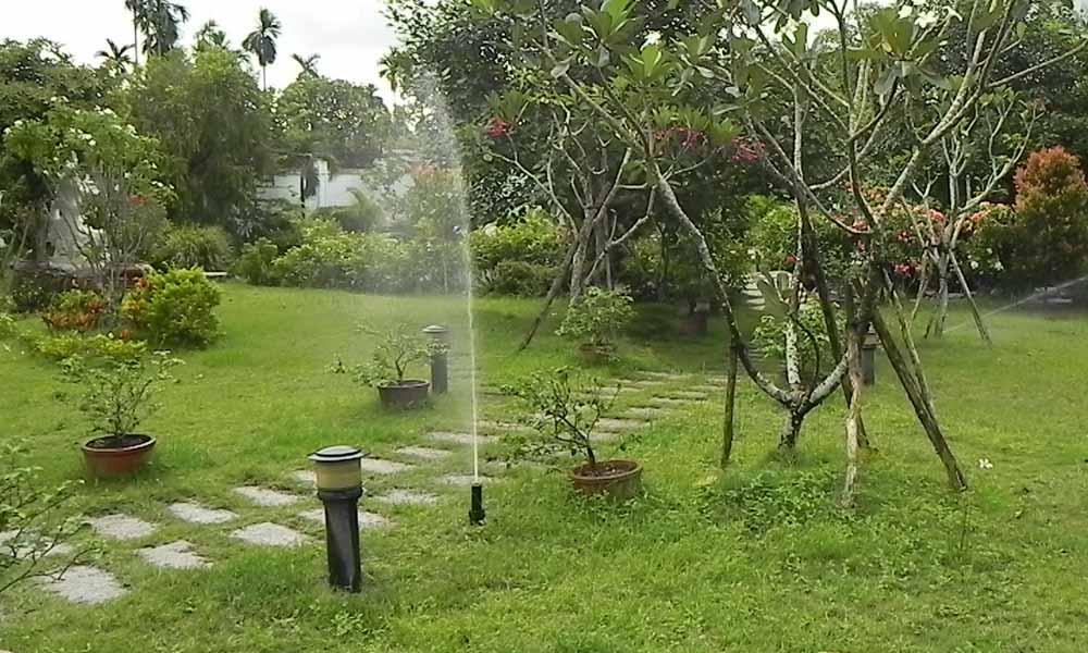 thiết kế sân vườn thông minh với hệ thống tưới tự động