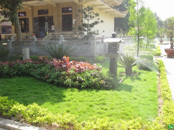 thiết kế sân vườn thông minh với hệ thống tưới tự động