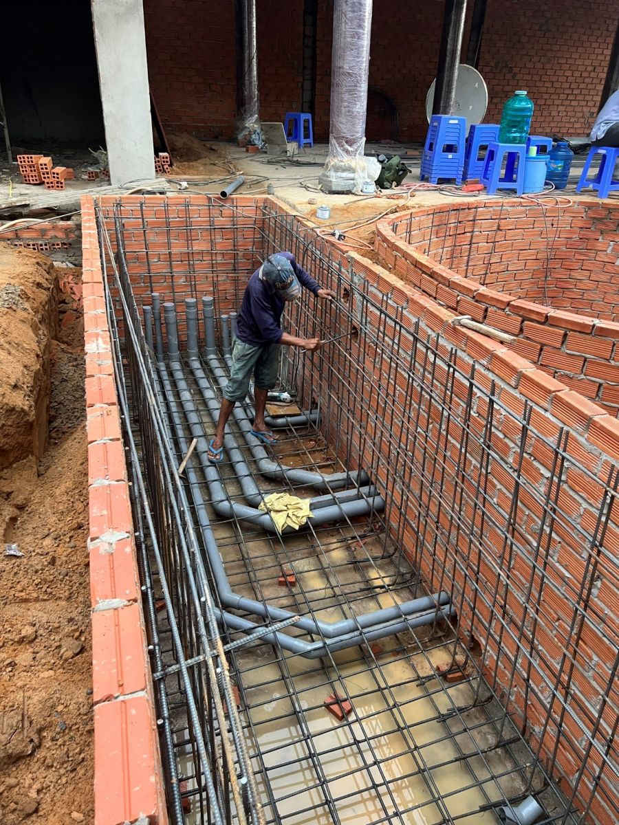 thiết kế thi công hồ cá Koi