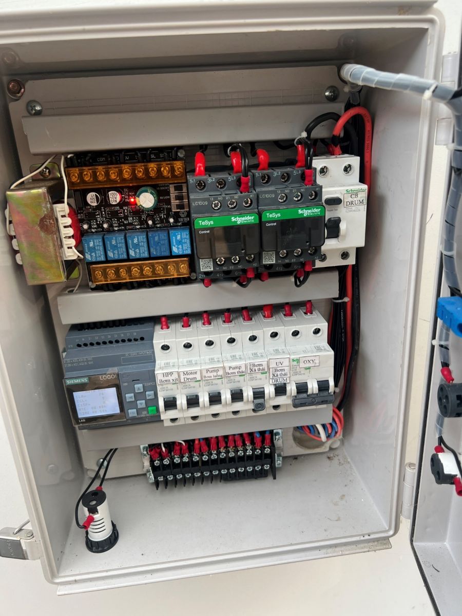 thiết kế thi công hồ cá Koi