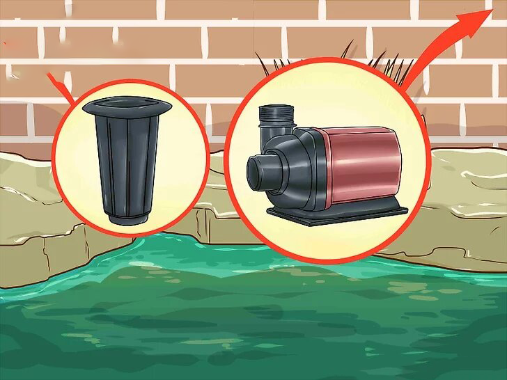 vệ sinh hồ cá koi bình dương