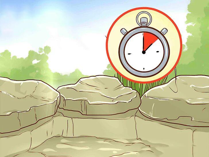 vệ sinh hồ cá koi bình dương