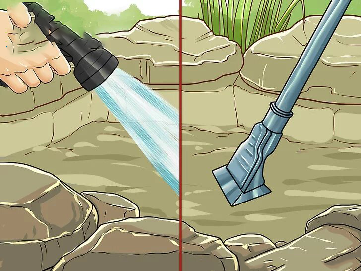 vệ sinh hồ cá koi bình dương