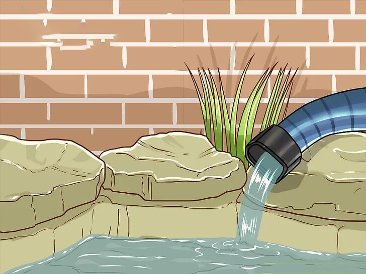 vệ sinh hồ cá koi bình dương