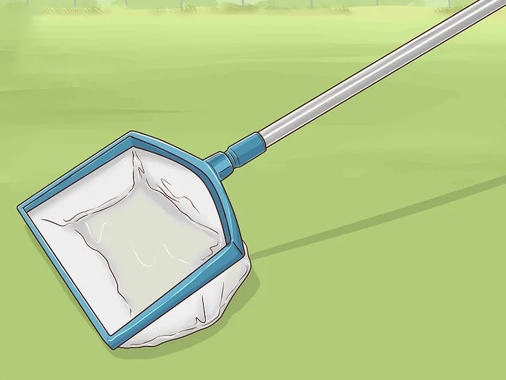 vệ sinh hồ cá koi bình dương