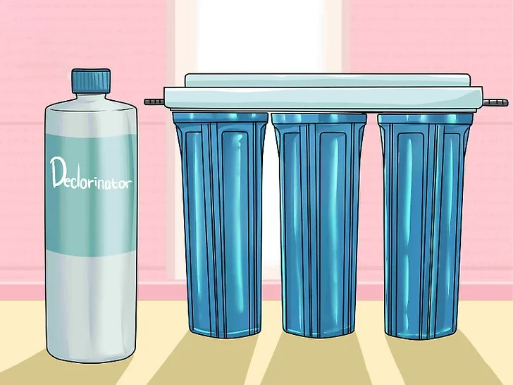 vệ sinh hồ cá koi bình dương