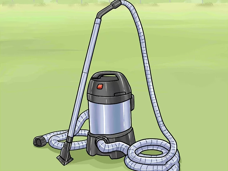 vệ sinh hồ cá koi bình dương