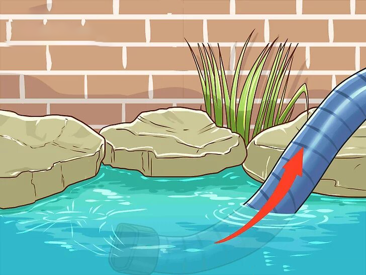 vệ sinh hồ cá koi bình dương