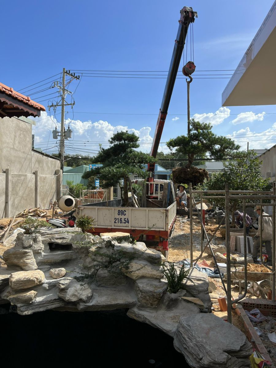 vệ sinh hồ cá koi bình dương