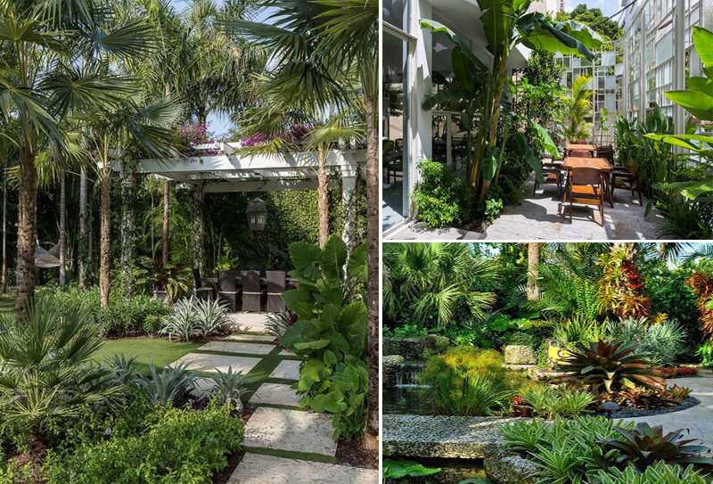 Thiết kế, thi công sân vườn nhiệt đới